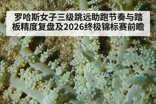 罗哈斯女子三级跳远助跑节奏与踏板精度复盘及2026终极锦标赛前瞻 | jiuyouhui