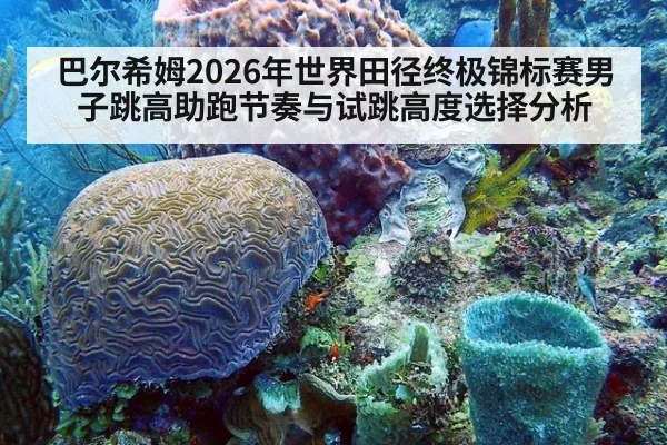 巴尔希姆2026年世界田径终极锦标赛男子跳高助跑节奏与试跳高度选择分析